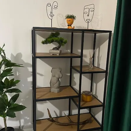 Londof Apartments- New Center * Brasov